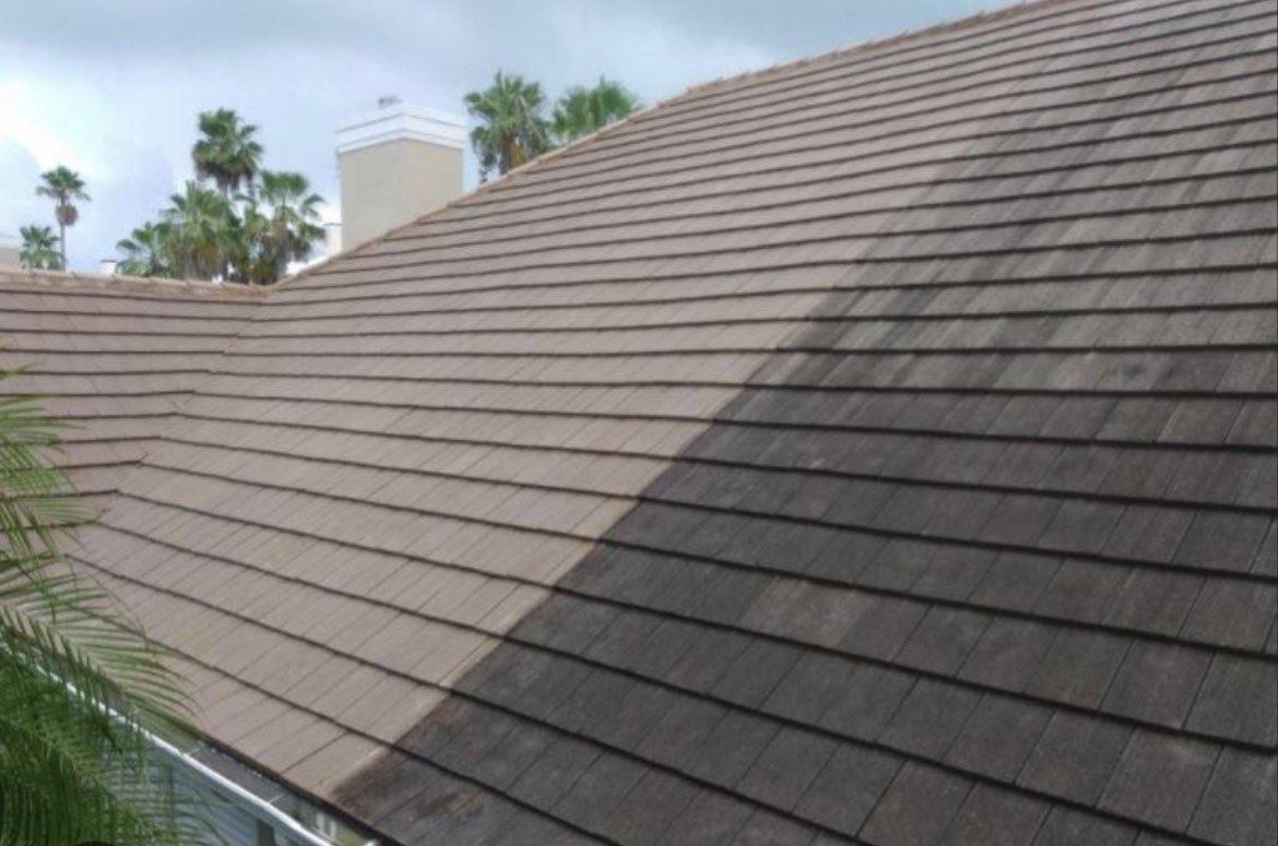 Roof Soft Wash before and after